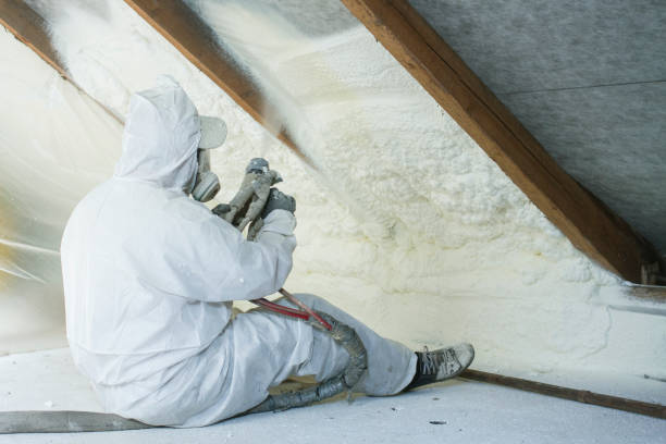 Best Crawl Space Insulation  in Sheridan, IL